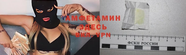 Альфа ПВП Верея