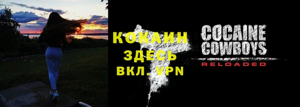 Альфа ПВП Верея