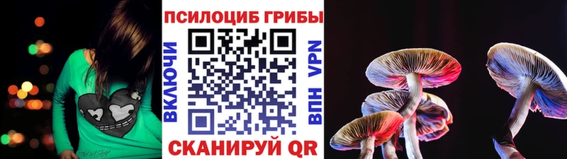 kraken   Нея  Галлюциногенные грибы мухоморы 